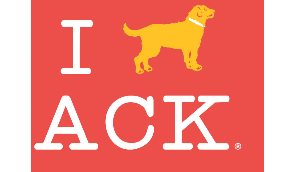 I Yellow Dog ACK Short Sleeve tshirt Yellow Dog Collection