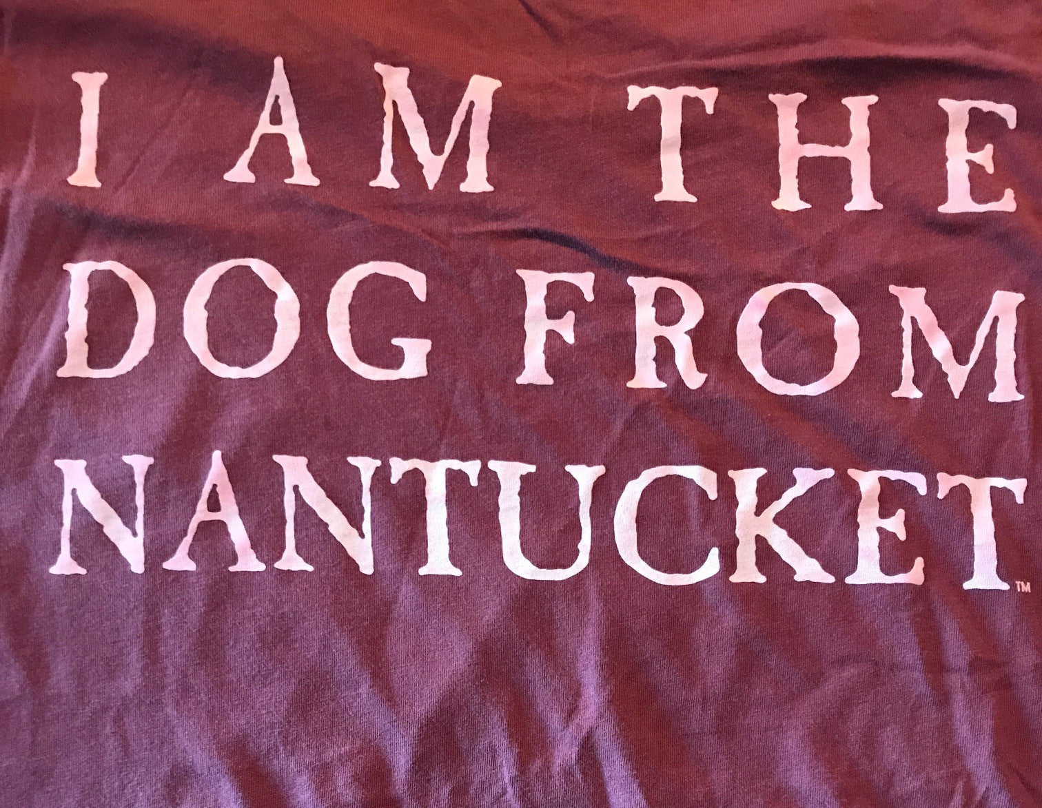 Yellow Dog: I am The Dog From Nantucket Short Sleeve T-shirt: